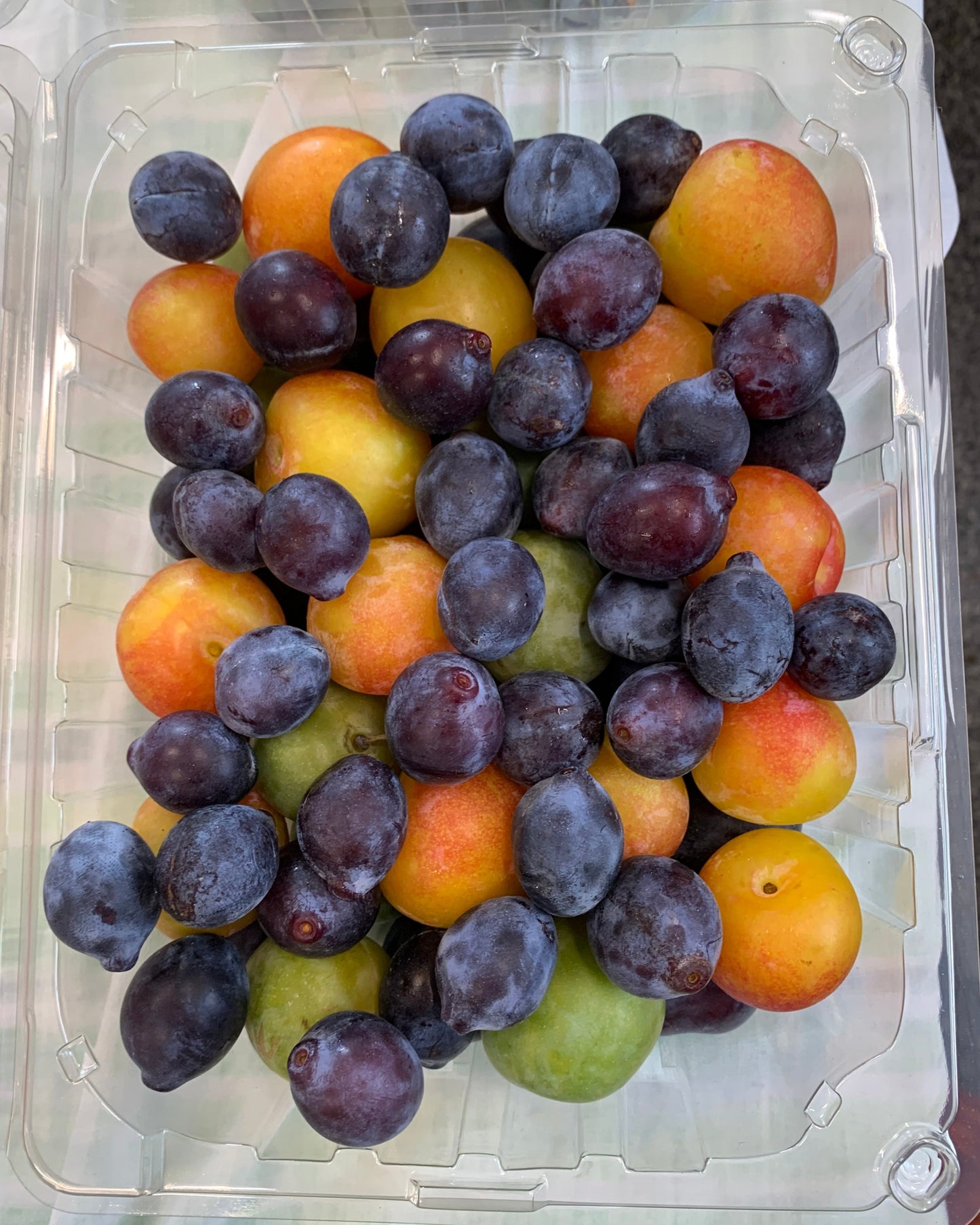 Prunes