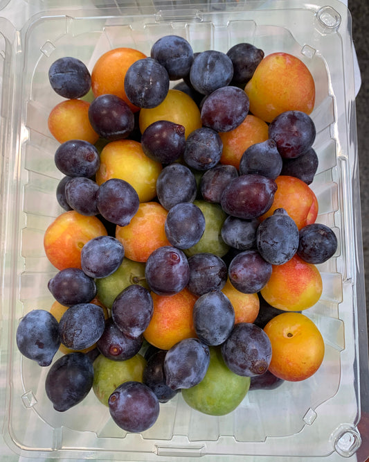 Prunes