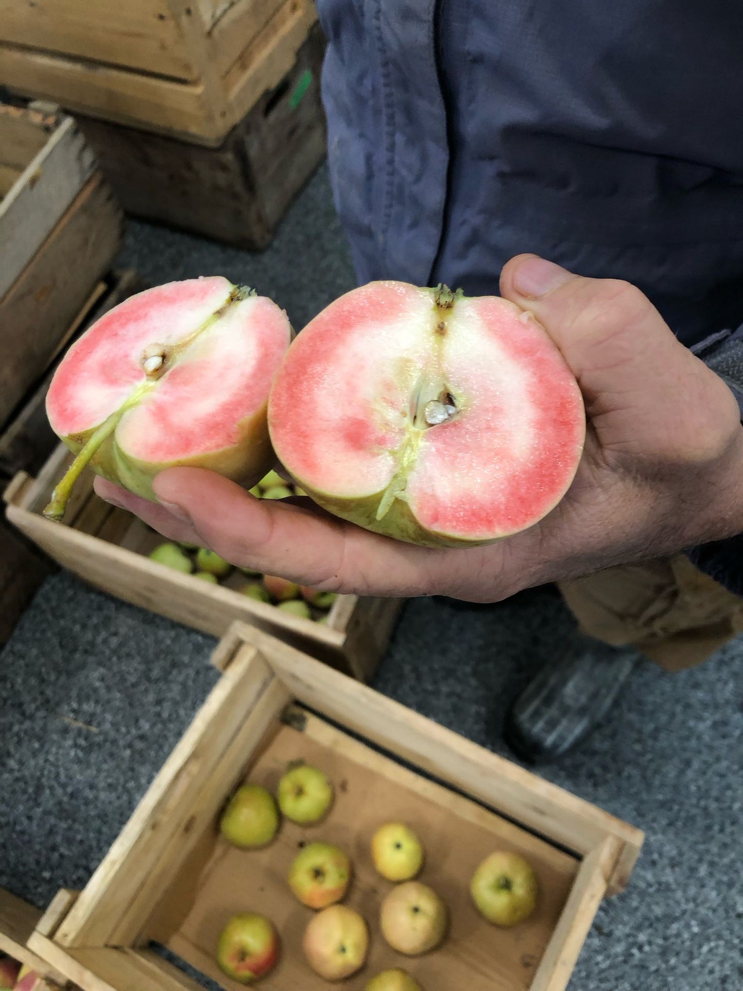 Pommes Pink Pearl
