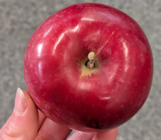 Pommes Cortland Royale