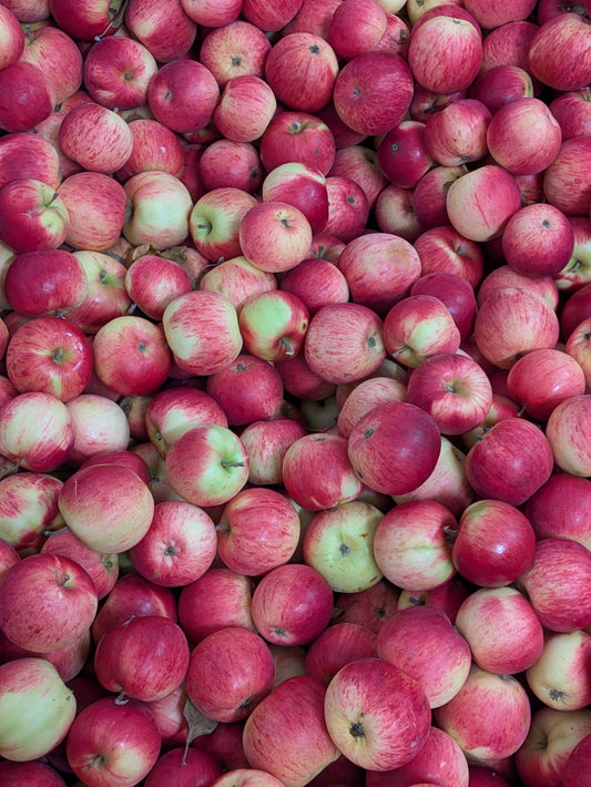 Pommes Fameuse