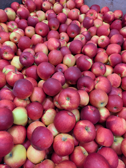 Pommes Sweet Sixteen